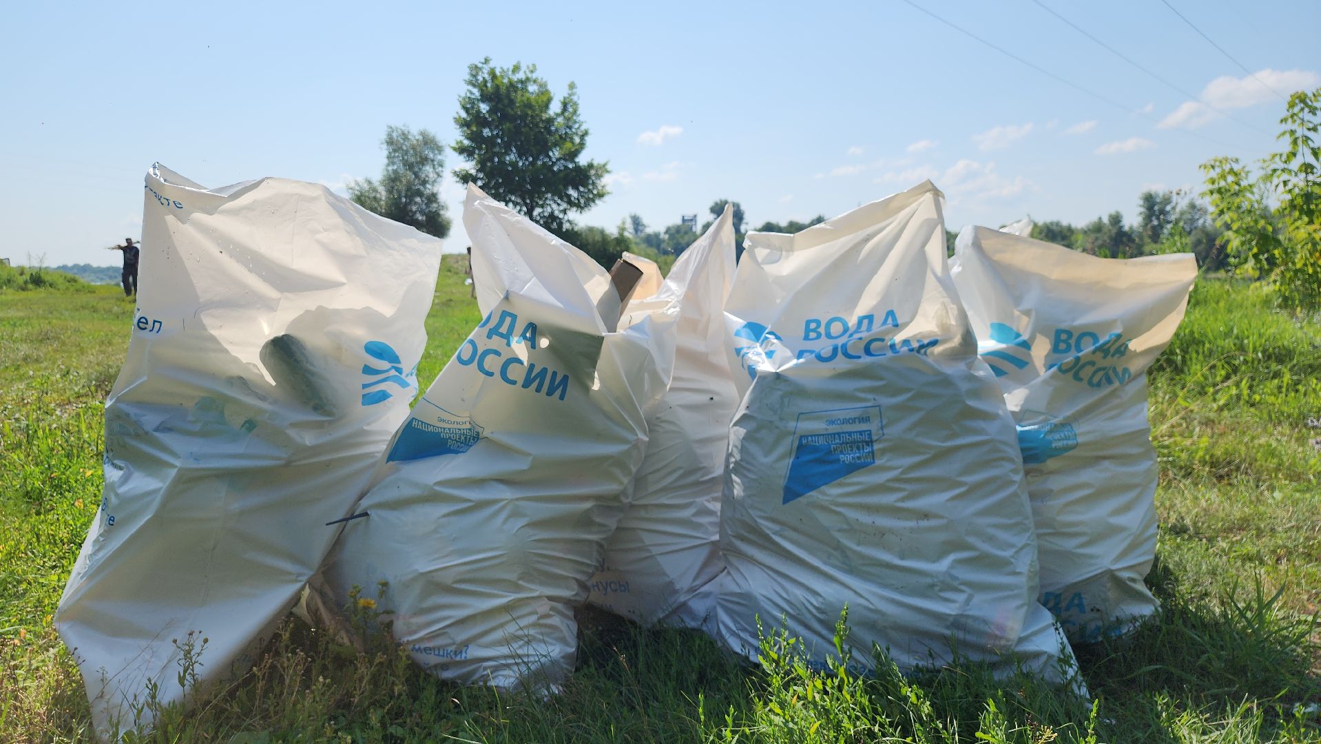 серпухов, подмосковье, центр по профориентации и трудоустройству молодеж, подростки на уборке, павленское озеро, экология,