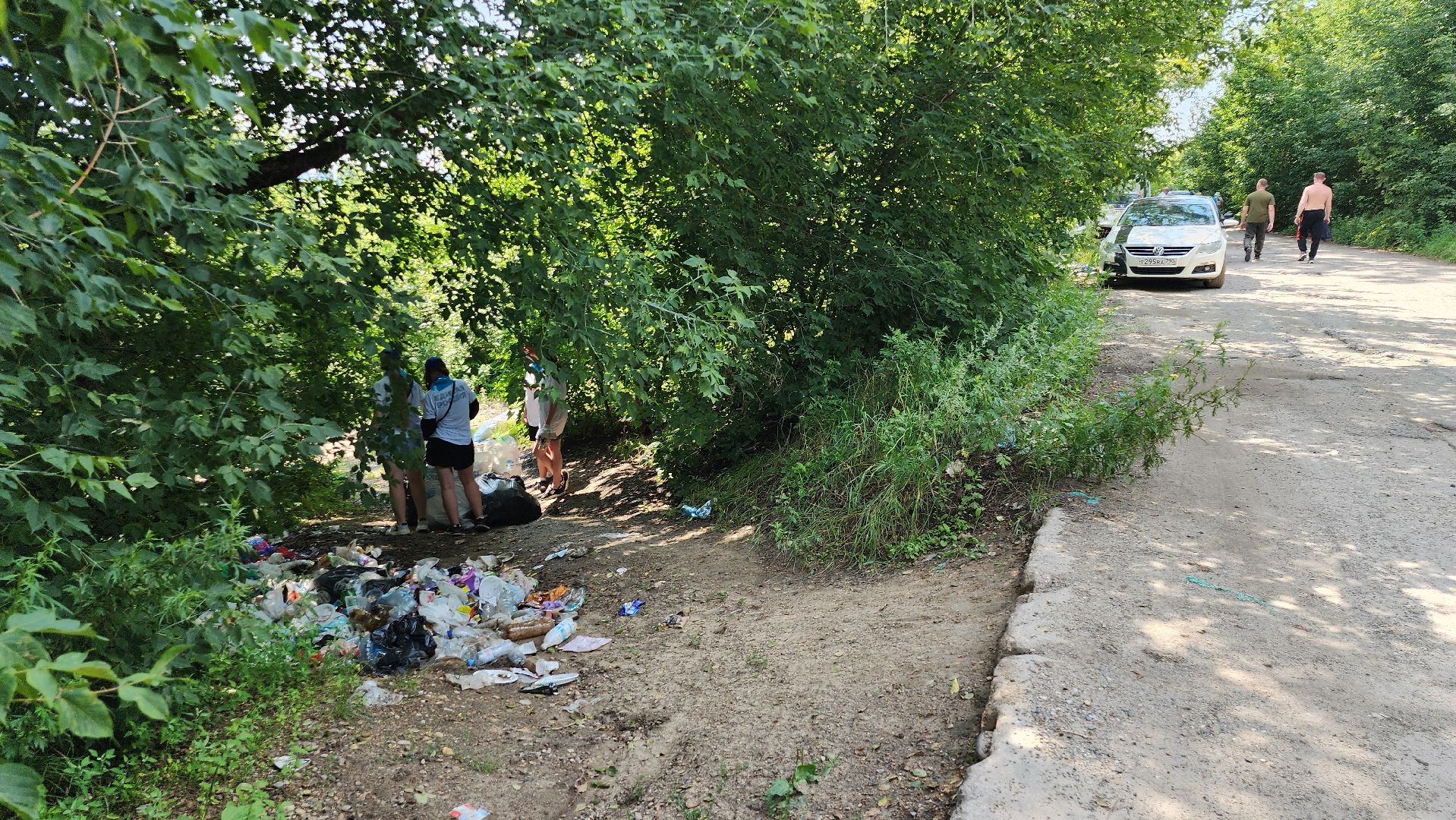 серпухов, подмосковье, центр по профориентации и трудоустройству молодеж, подростки на уборке, павленское озеро, экология,