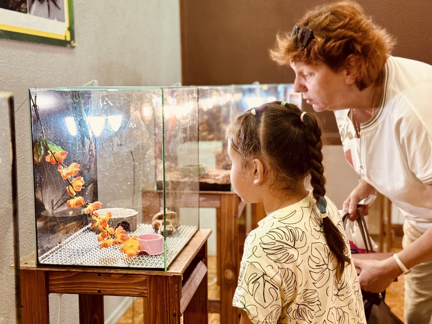 раменское, выставка пауков, куда поехать на выходные, туризм в раменском,