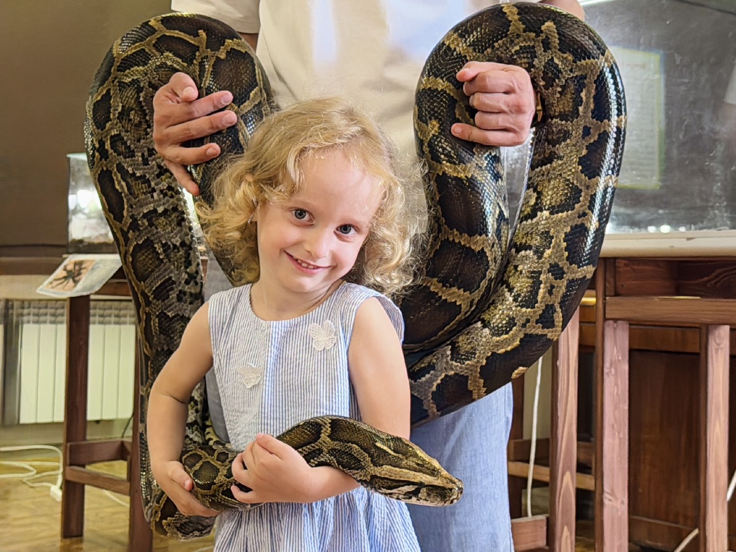 раменское, выставка пауков, куда поехать на выходные, туризм в раменском,