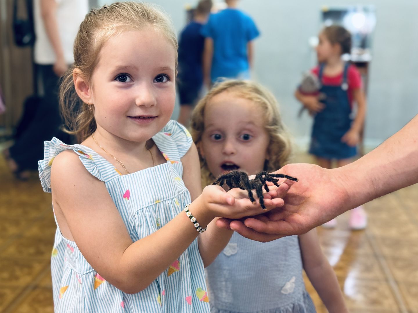 раменское, выставка пауков, куда поехать на выходные, туризм в раменском,