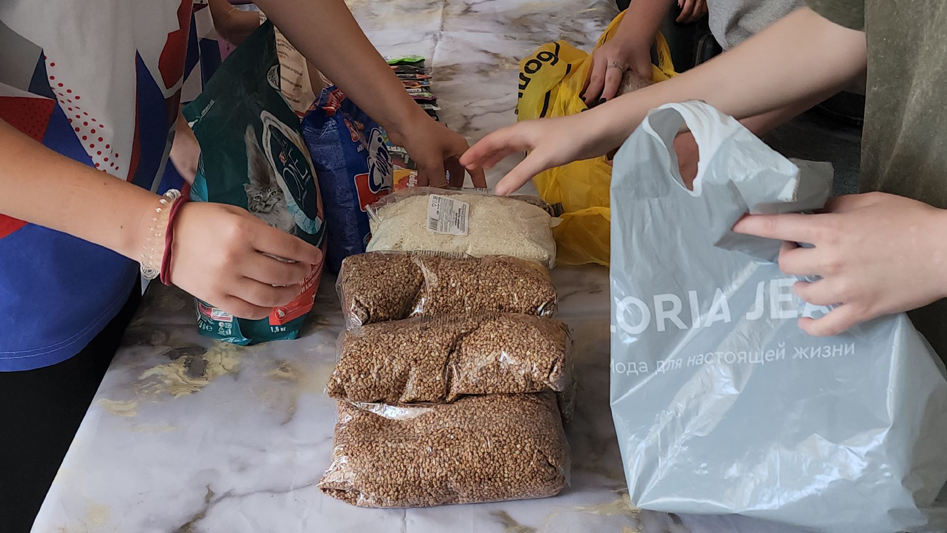 волонтеры, точка притяжения, пушкино, благотворительная акция,