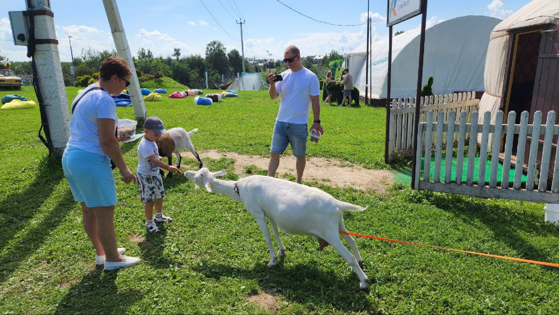 Дмитров, Зооферма Шихово, Туризм,