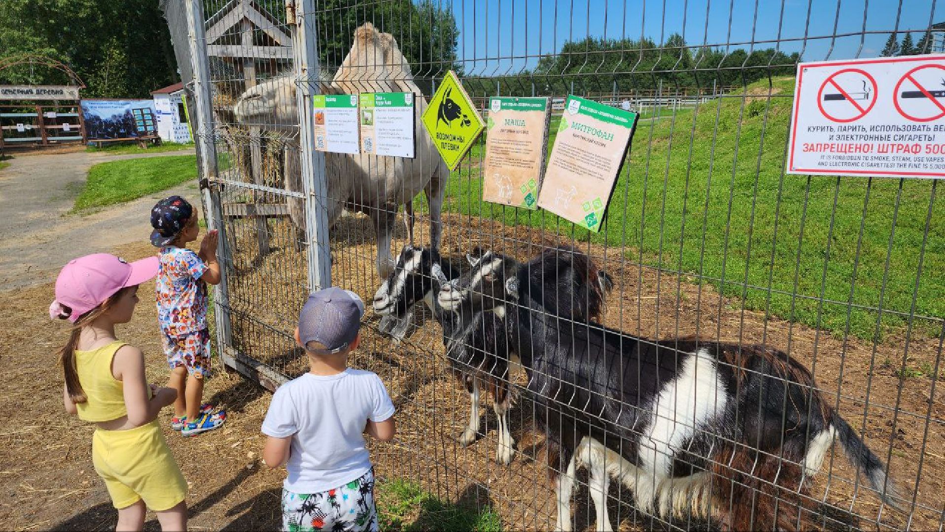 Дмитров, Зооферма Шихово, Туризм,