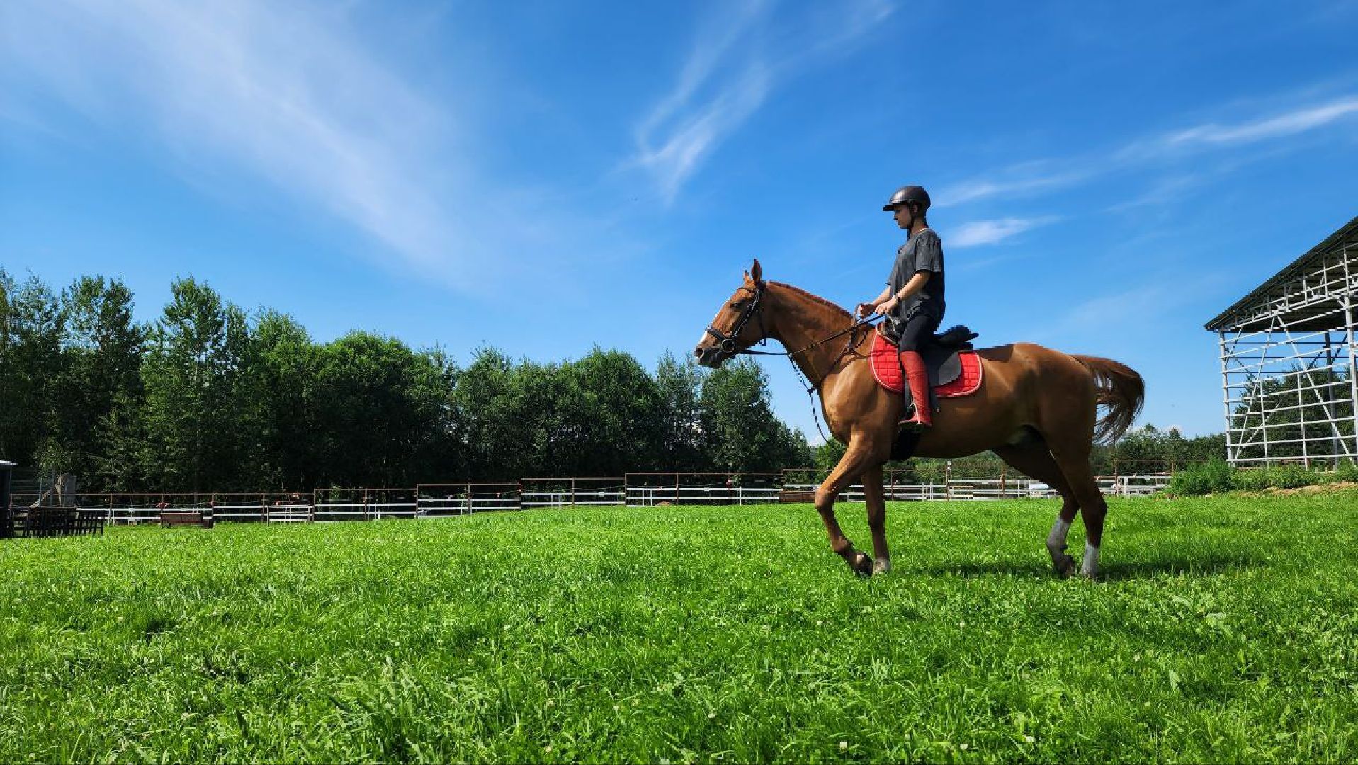 Дмитров, Зооферма Шихово, Туризм,