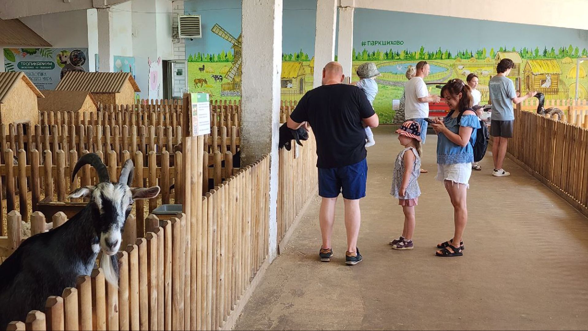 Дмитров, Зооферма Шихово, Туризм,