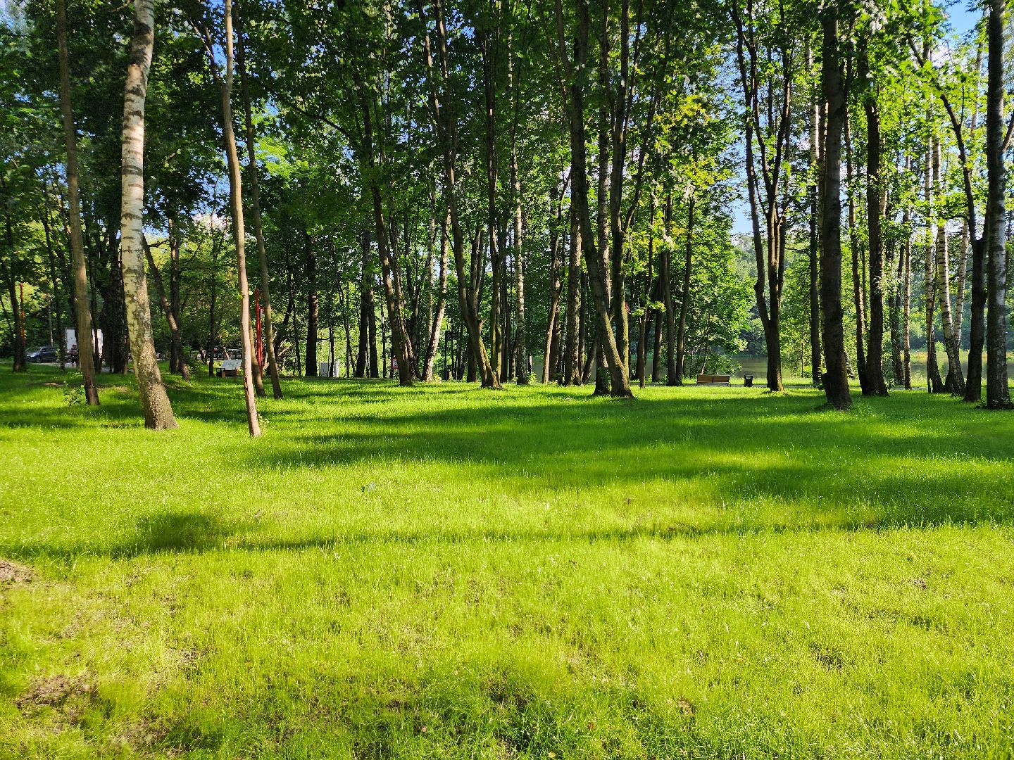 выездная администрация, встреча с жителями, благоустройство, вишняковский парк,  городской округ балашиха,