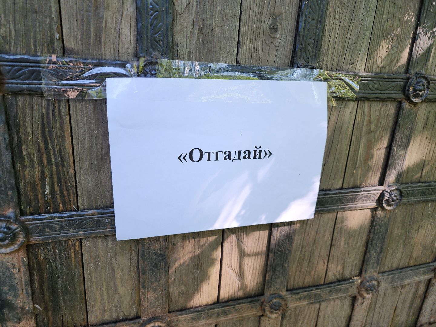 Истра, Профессии, волонтеры подмосковья, Образование,