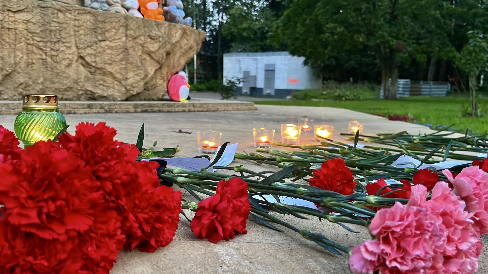 наро-фоминск, ассоциация ветеранов сво, день памяти детей донбасса, акция-реквием ,