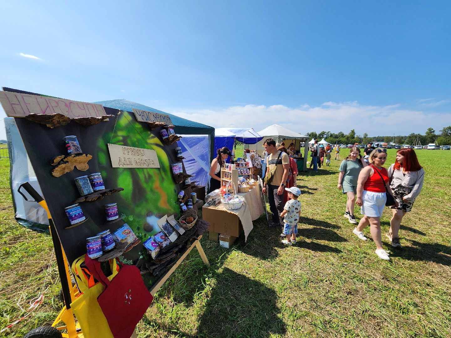 чехов, село молоди, фестиваль гуляй город, мастер классы, искусства и ремесла, исторический тир, народная кухня,народные игры, народные забавы, концерт, песни и танцы, фольклорные коллективы, аттракционы, надувные горки, карусели, батуты, торговые ряды, ярмарка, реконструкция молодинской битвы,квесты конкурсы викторины,