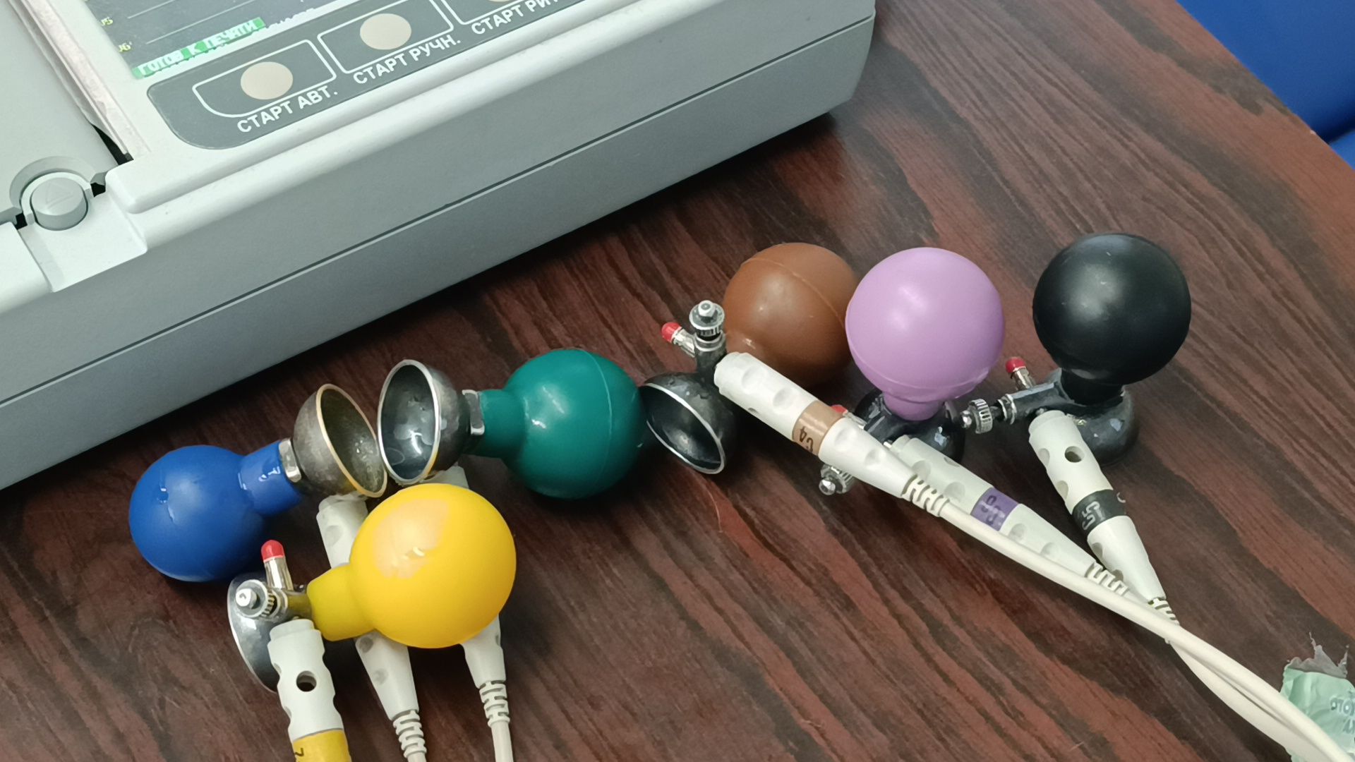 диспансеризация, парк, лобня,