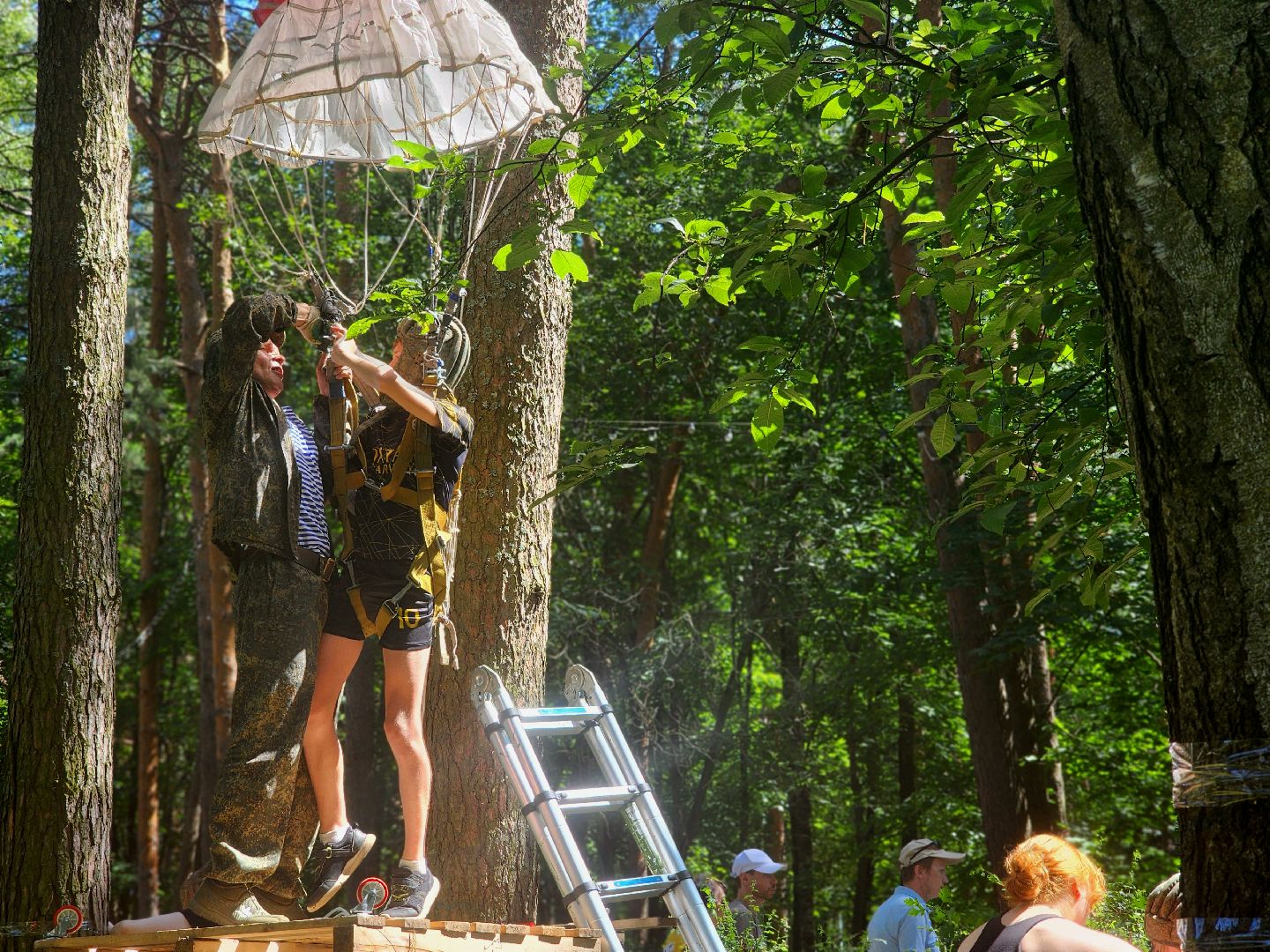 дубна, день города,  вымпел, вымпел-талдом,