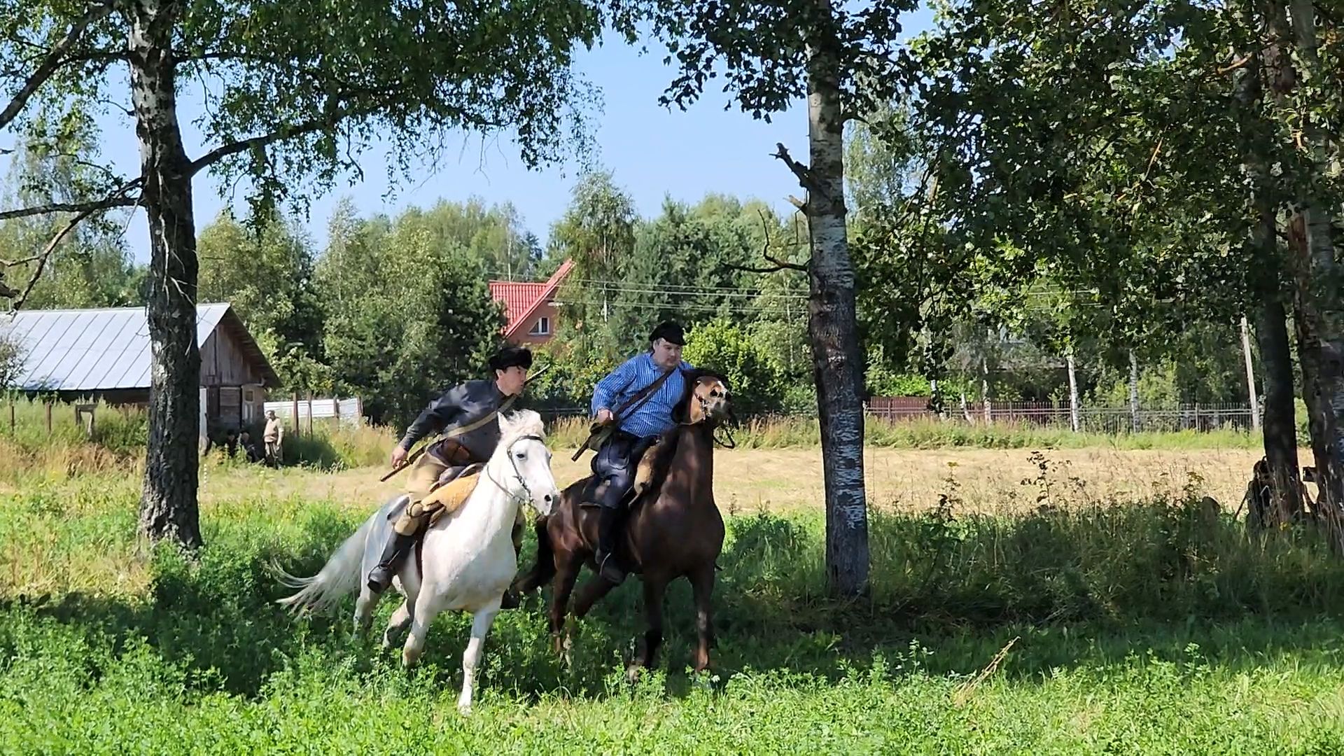 пушкинский городской округ, историческая реконструкция, История ,