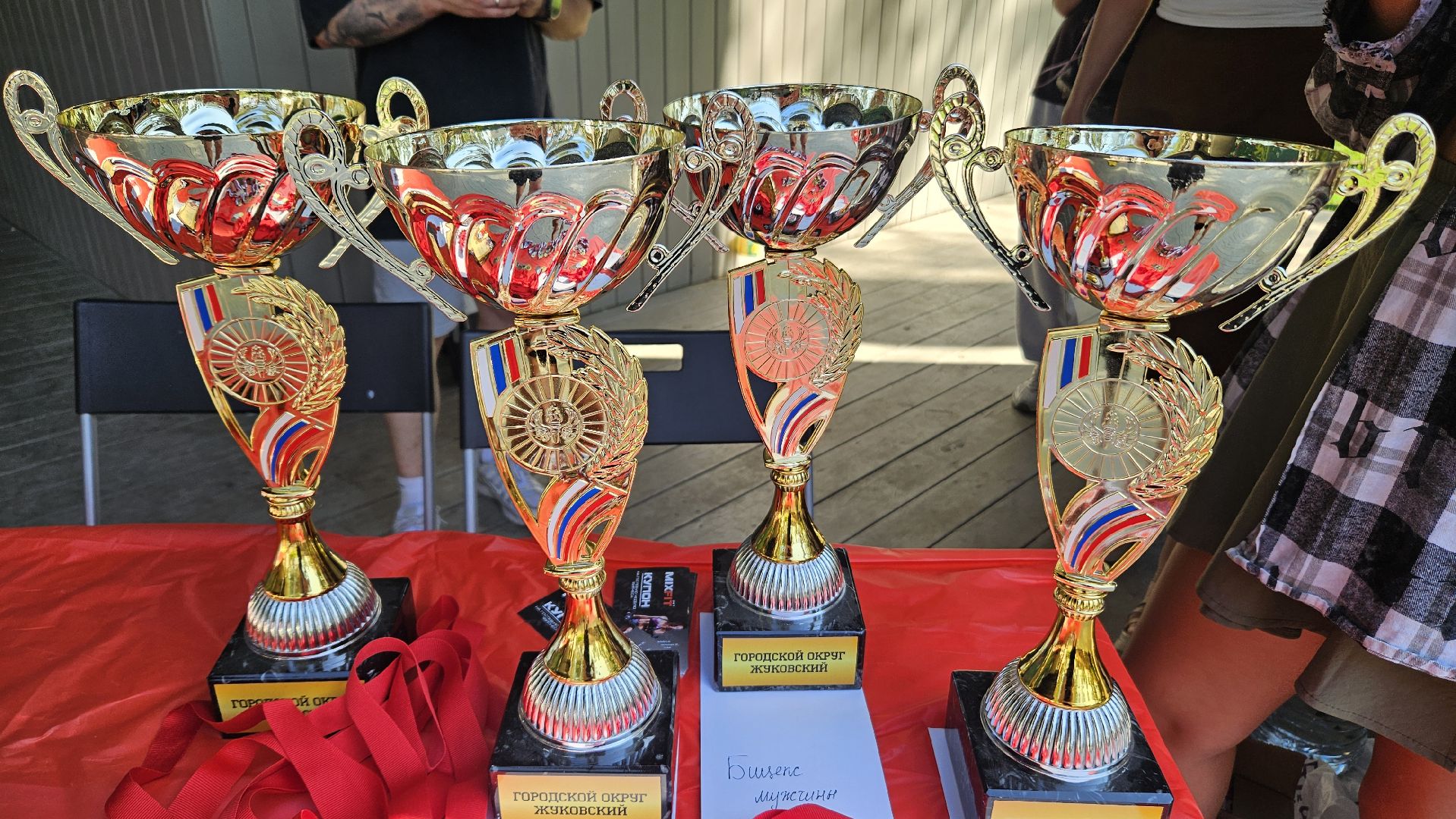 спорт, пауэрлифтинг, жуковский,