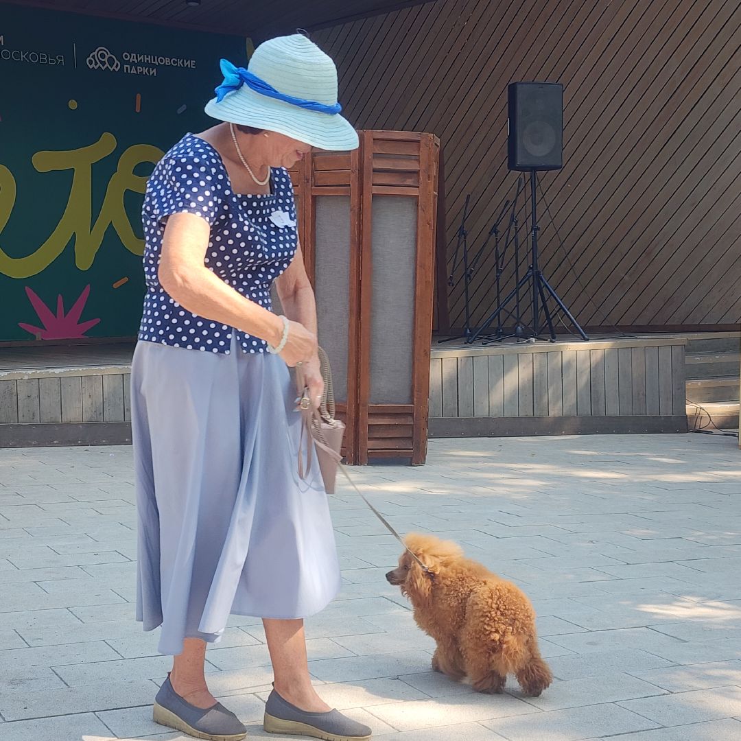 Туризм , Отдых , Культура , Люди Звенигорода , Общество ,