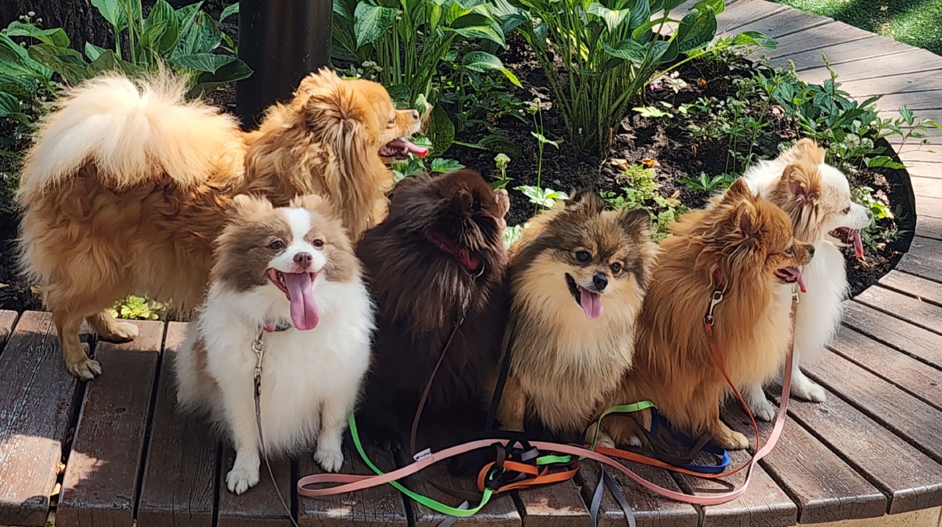 Туризм , Отдых , Культура , Люди Звенигорода , Общество ,