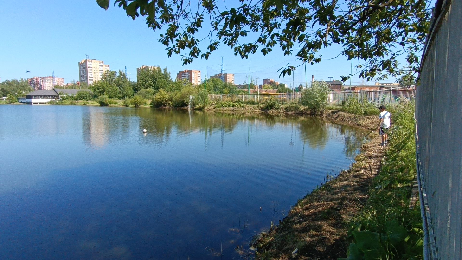 спорт, футбол, лобня,