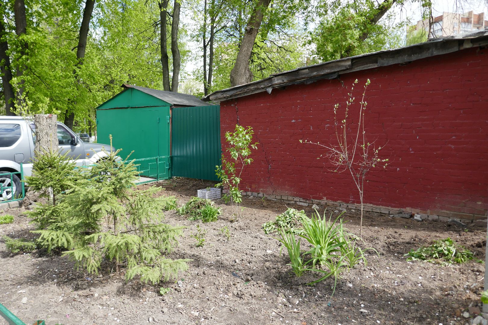 Подольск, лес Победы, деревья, управляющая компания, двор