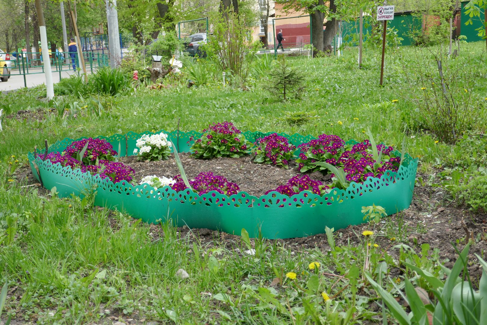 Подольск, лес Победы, деревья, управляющая компания, двор