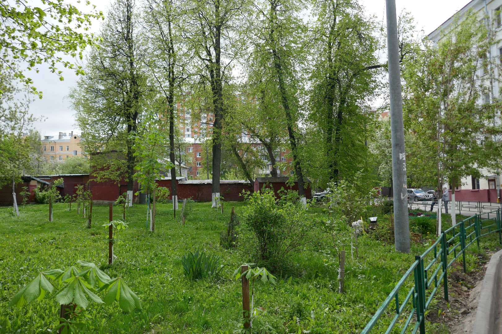 Подольск, лес Победы, деревья, управляющая компания, двор