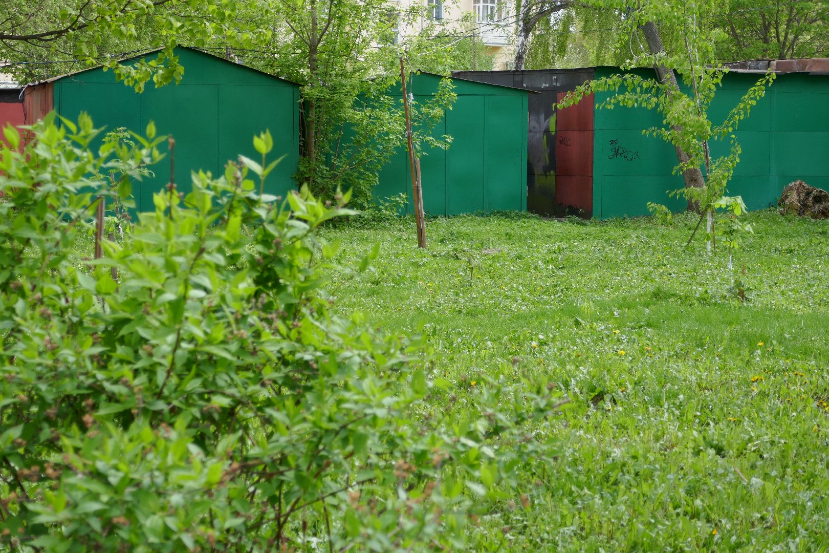 Подольск, лес Победы, деревья, управляющая компания, двор