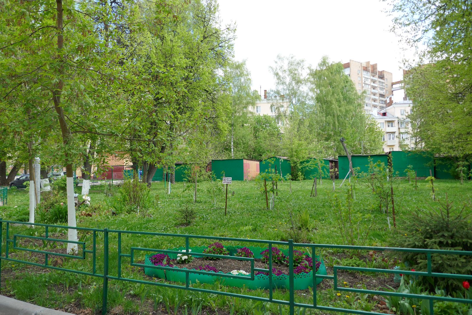 Подольск, лес Победы, деревья, управляющая компания, двор