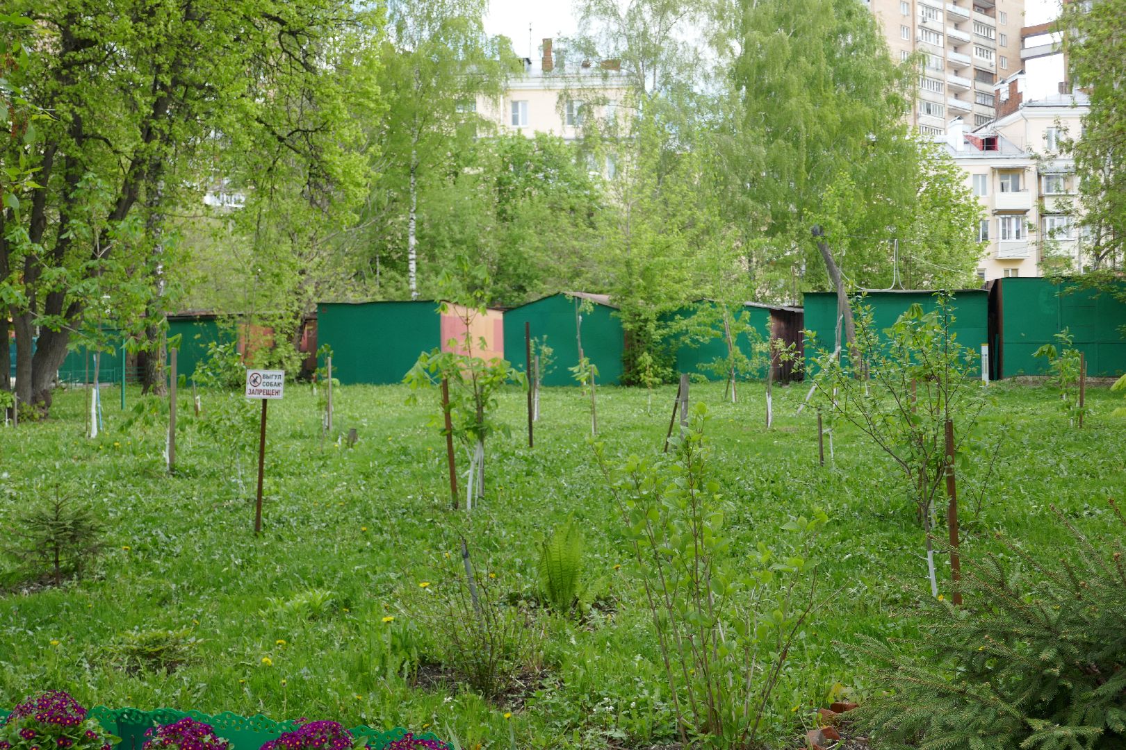 Подольск, лес Победы, деревья, управляющая компания, двор