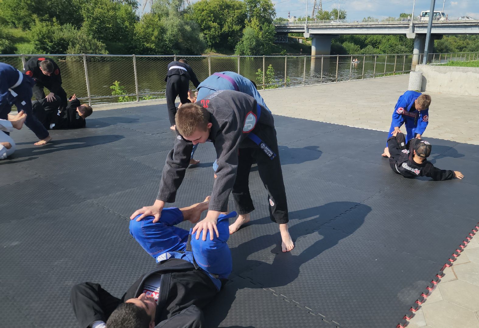 мастер-класс по джиу-джитсу , орехово-зуево,