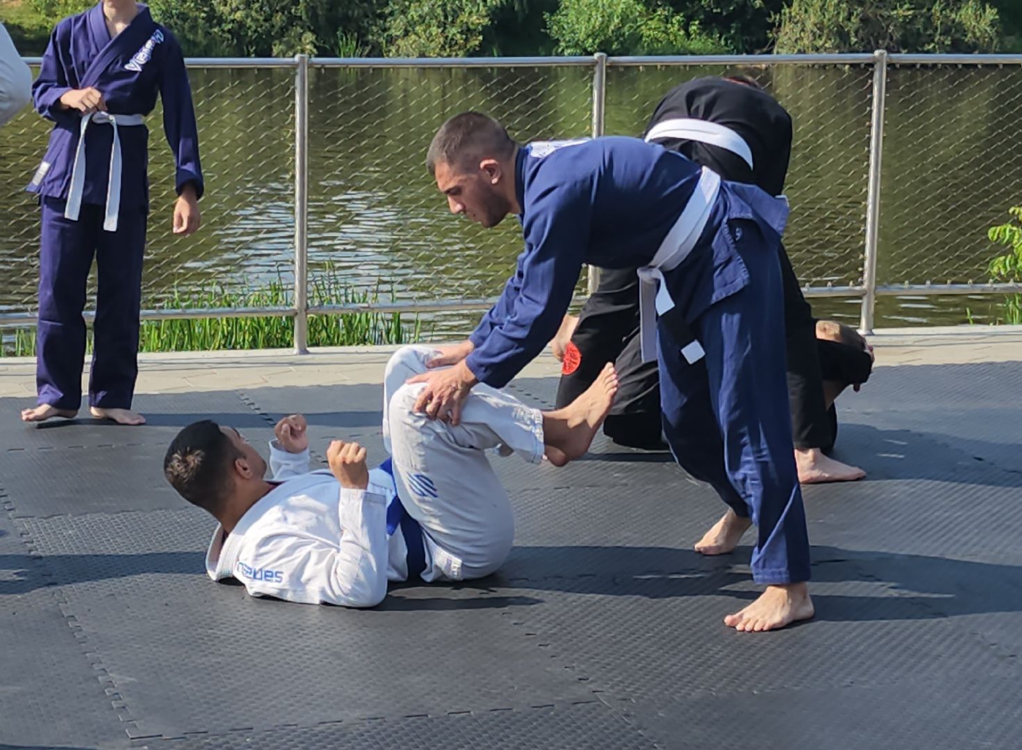 мастер-класс по джиу-джитсу , орехово-зуево,