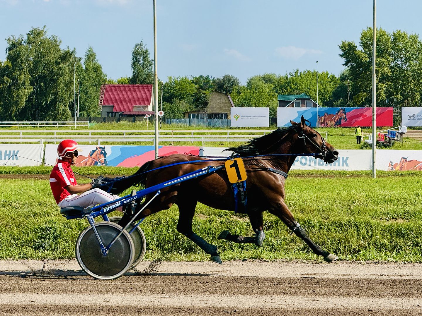 раменское, скачки, конный спорт, ипподром, раменский ипподром,лошади,