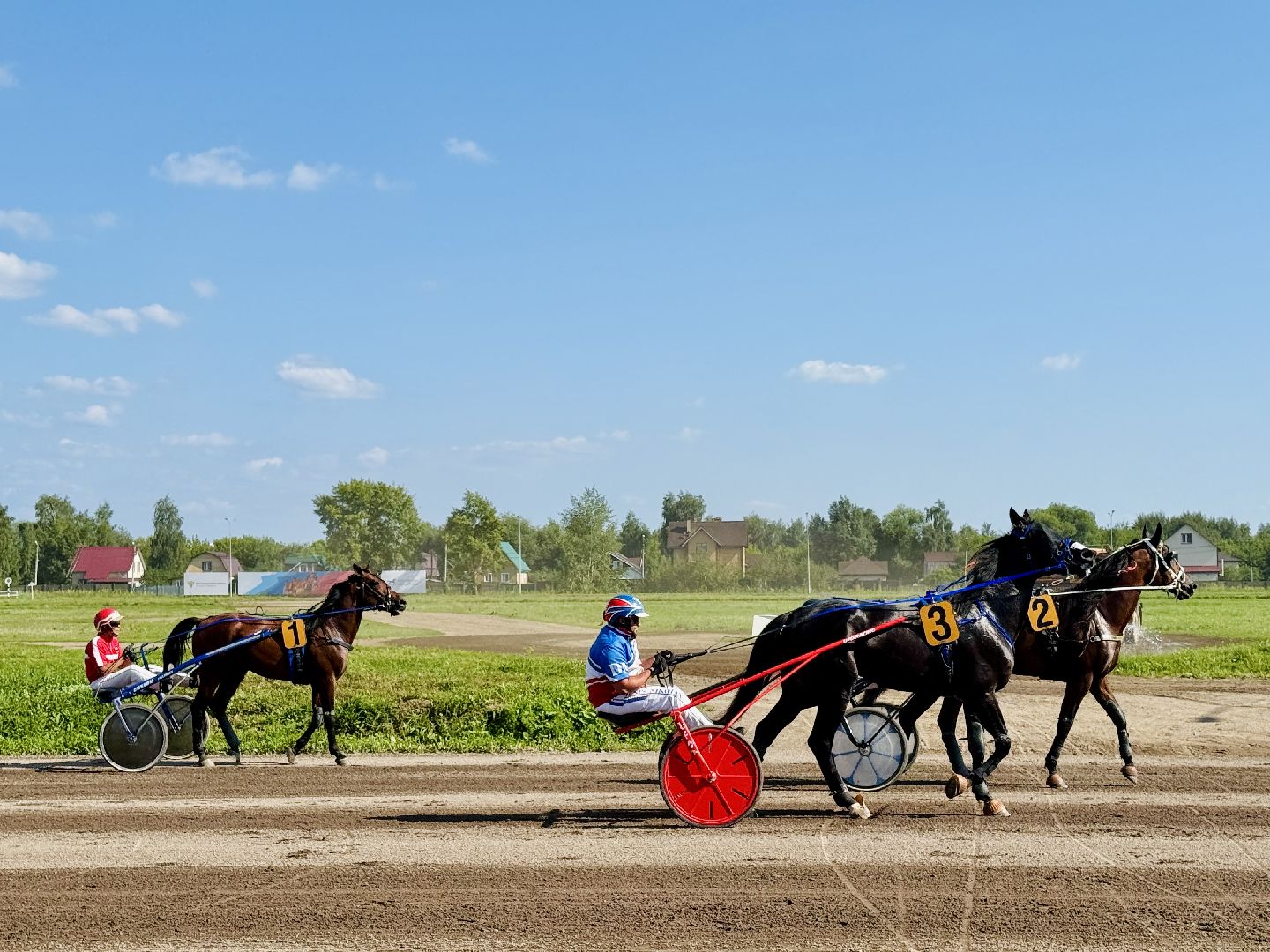 раменское, скачки, конный спорт, ипподром, раменский ипподром,лошади,