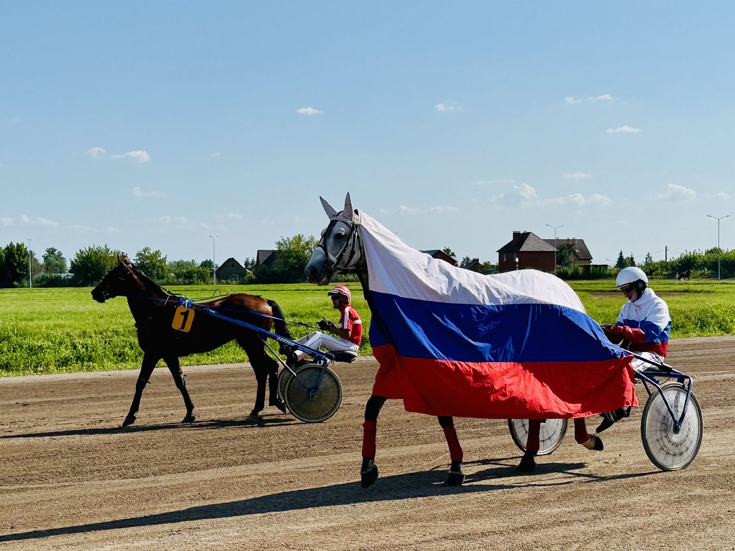 раменское, скачки, конный спорт, ипподром, раменский ипподром,лошади,