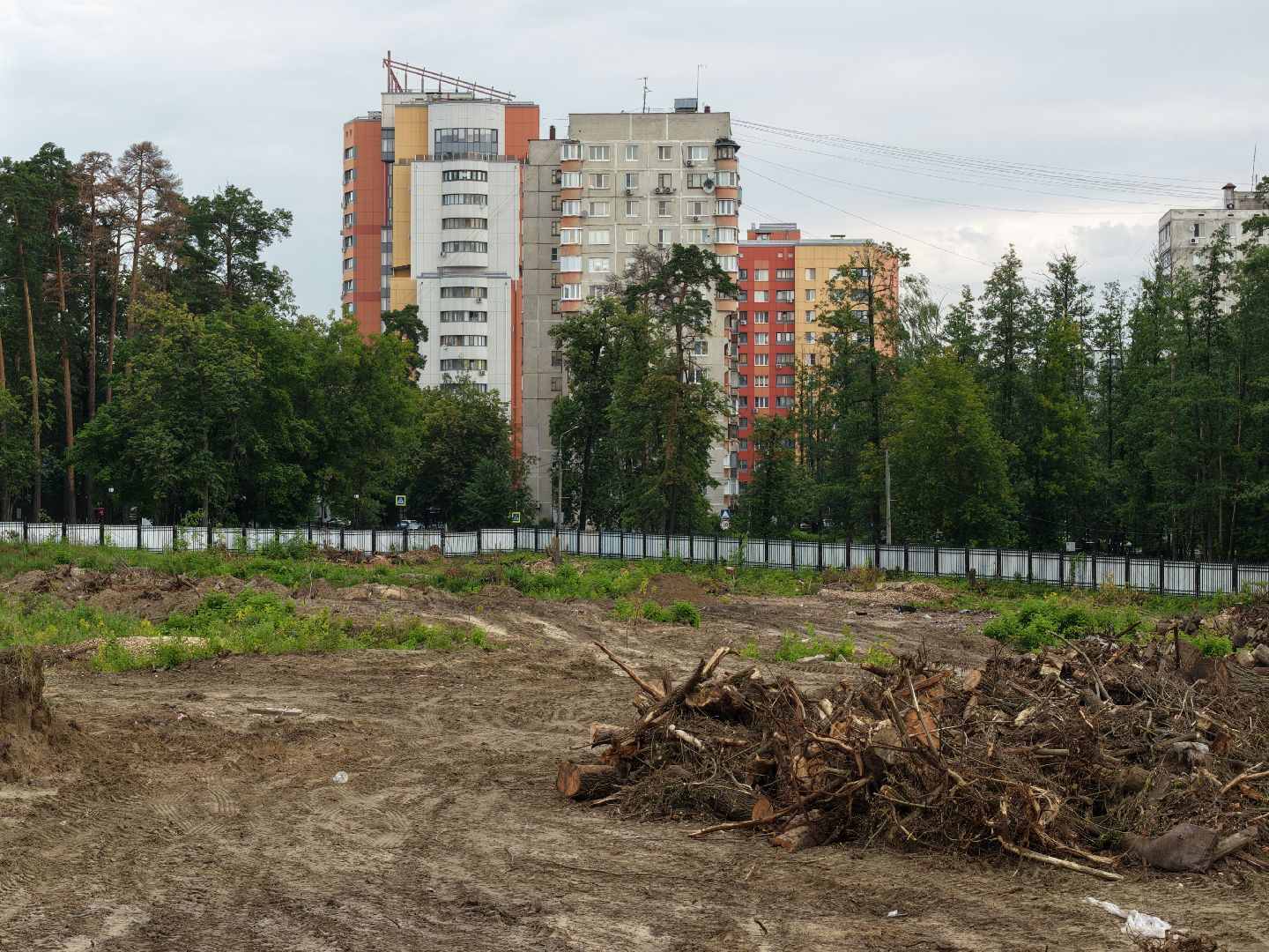 видео с коптера, городской парк раменский,
