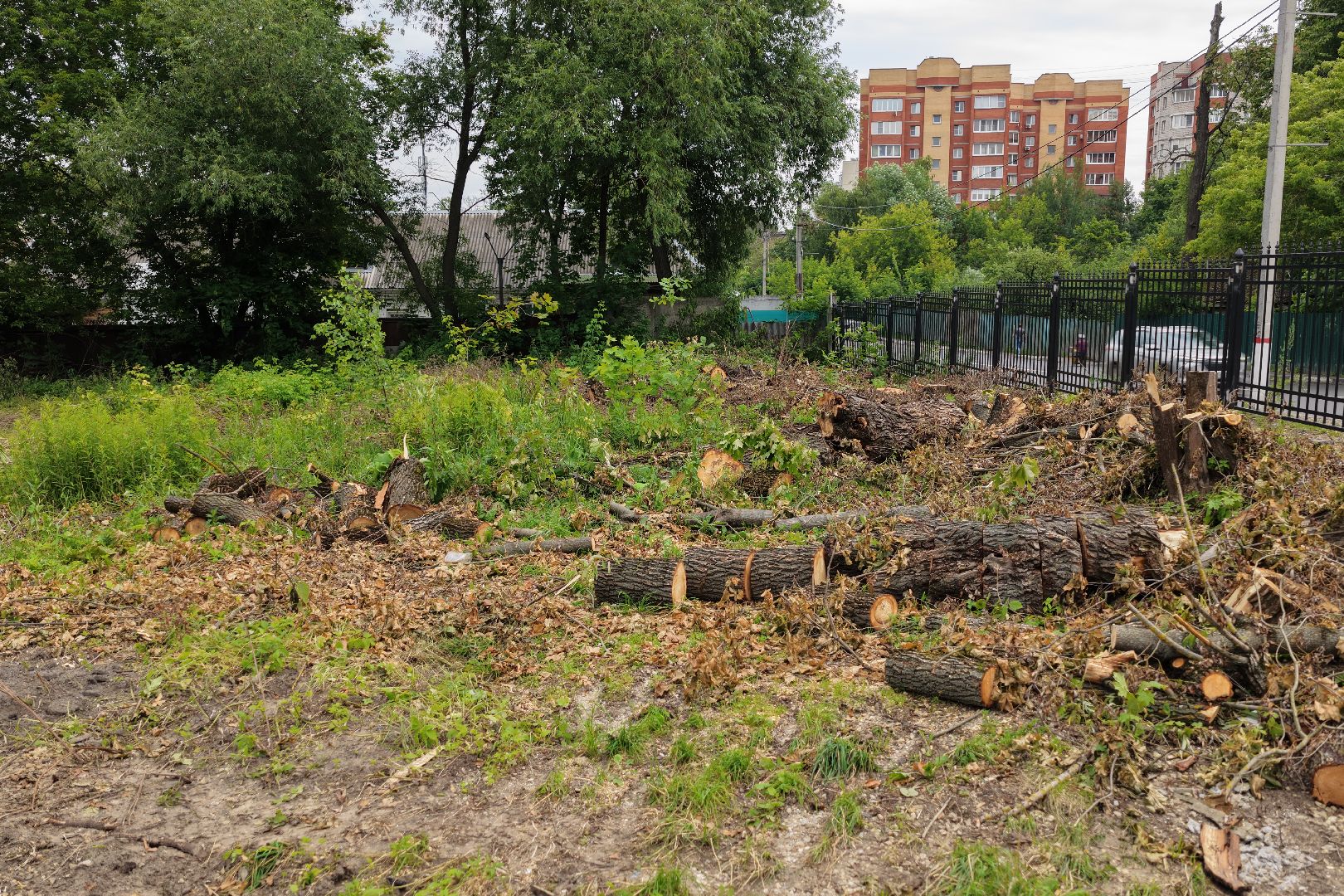 видео с коптера, городской парк раменский,