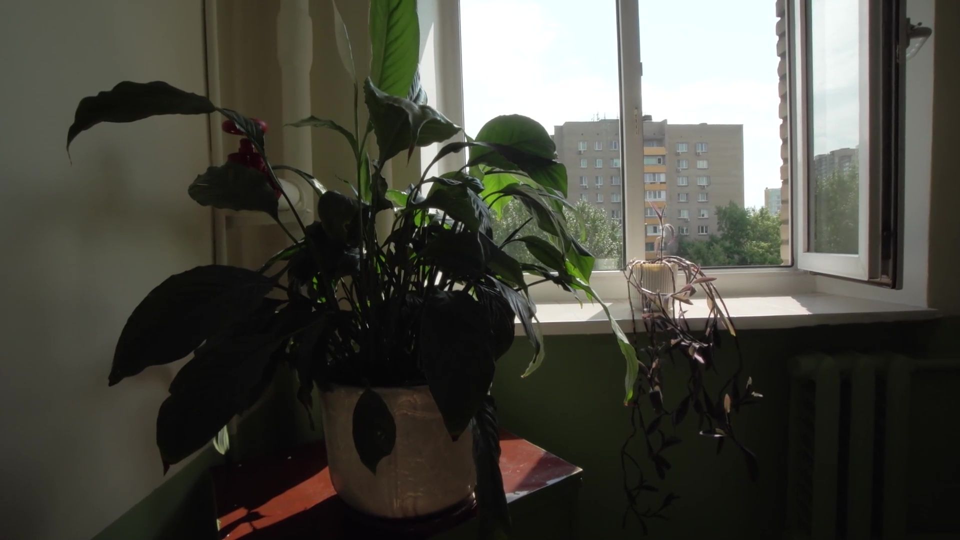 реутов, благоустройство, конкурс, конкурс главы,