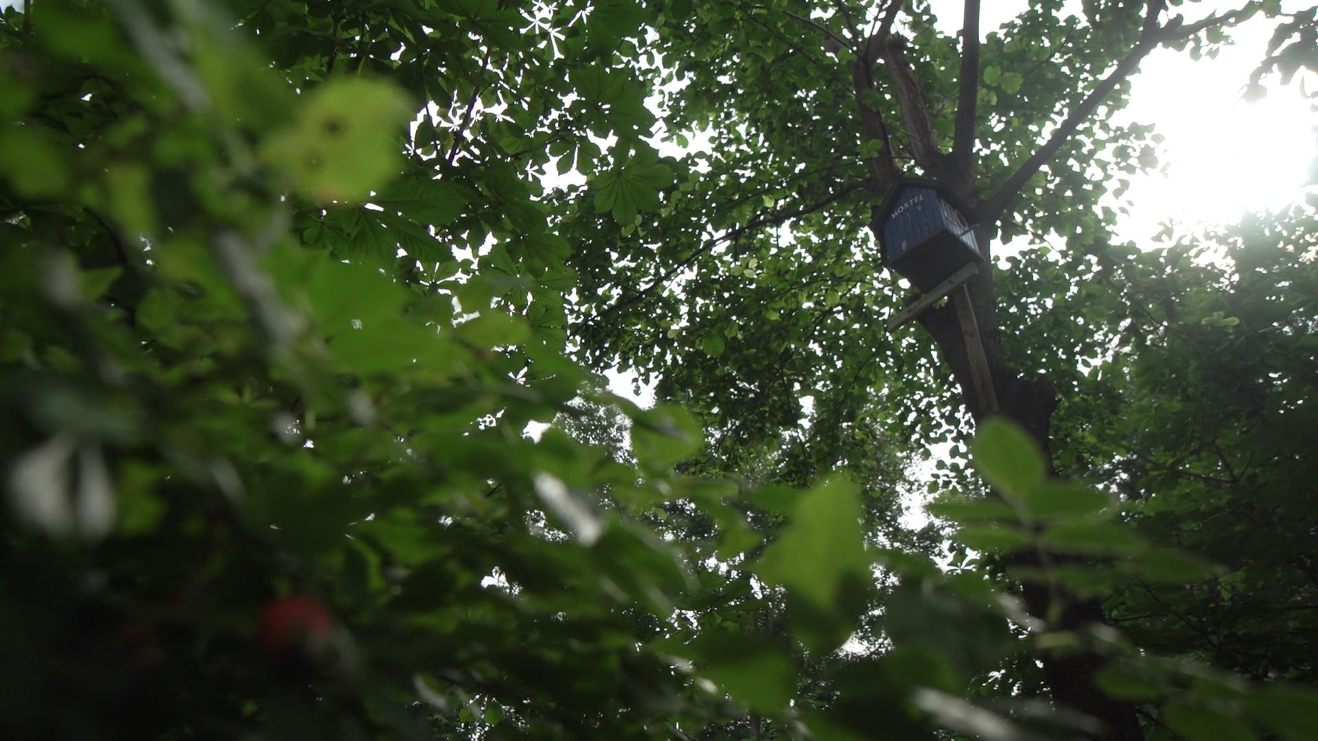 реутов, благоустройство, конкурс, конкурс главы,