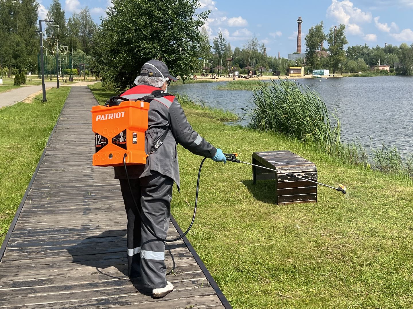 талдомский городской округ,  Запрудня, Клещи, обработка от клещей,