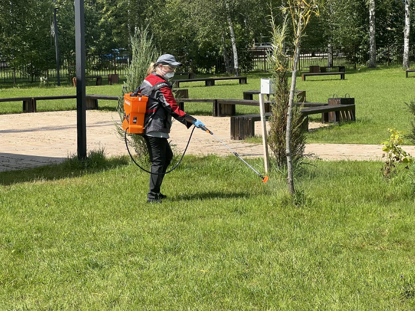 талдомский городской округ,  Запрудня, Клещи, обработка от клещей,