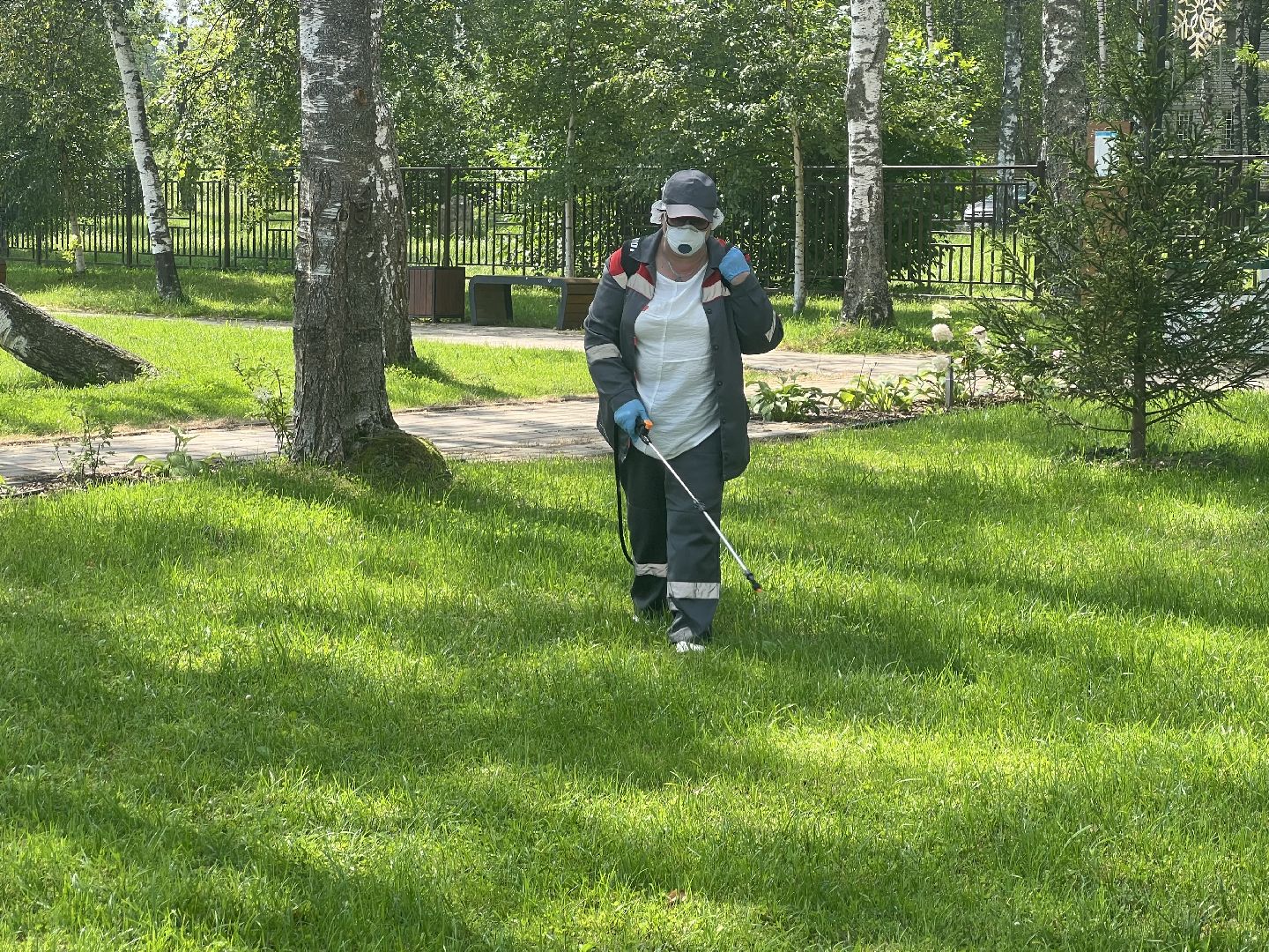 талдомский городской округ,  Запрудня, Клещи, обработка от клещей,