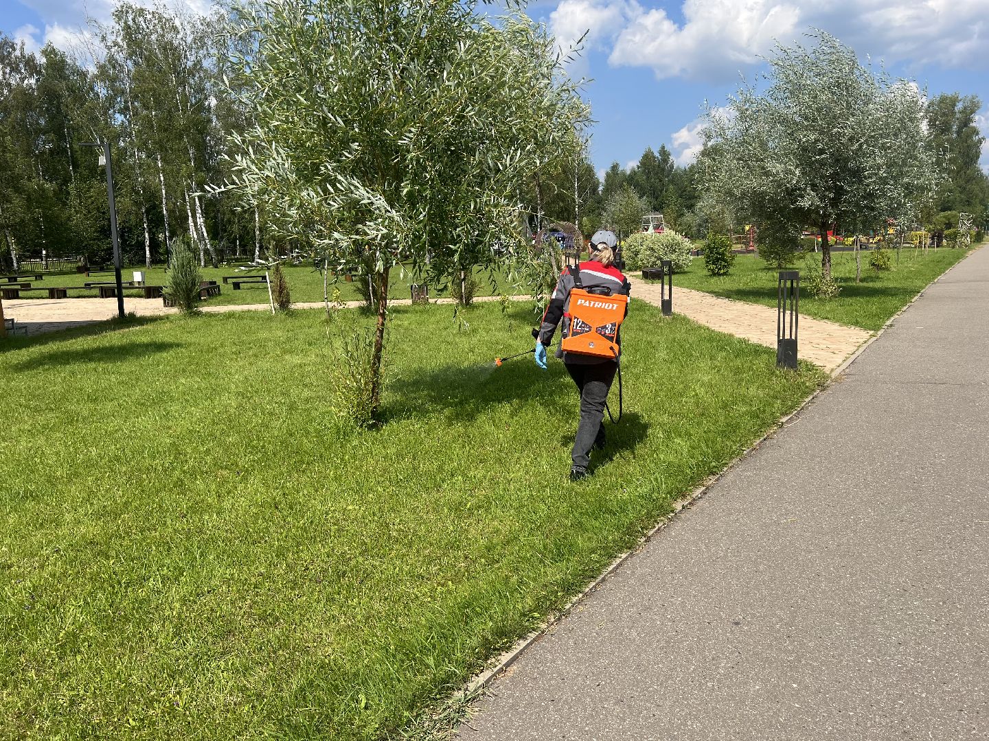 талдомский городской округ,  Запрудня, Клещи, обработка от клещей,