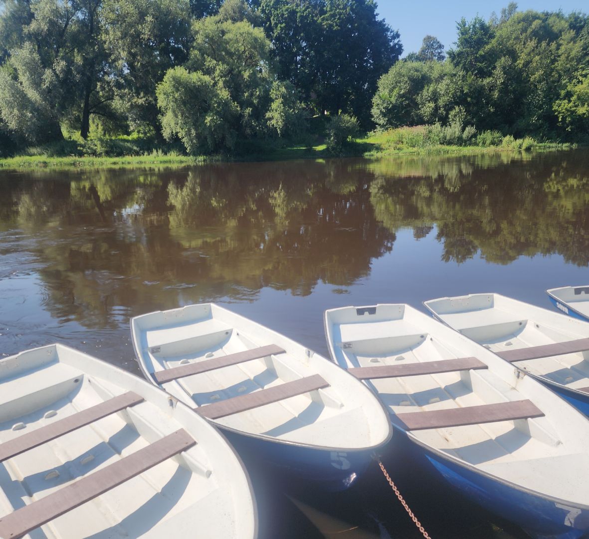 Отдых у воды, Туризм , Благоустройство , Люди Звенигорода ,