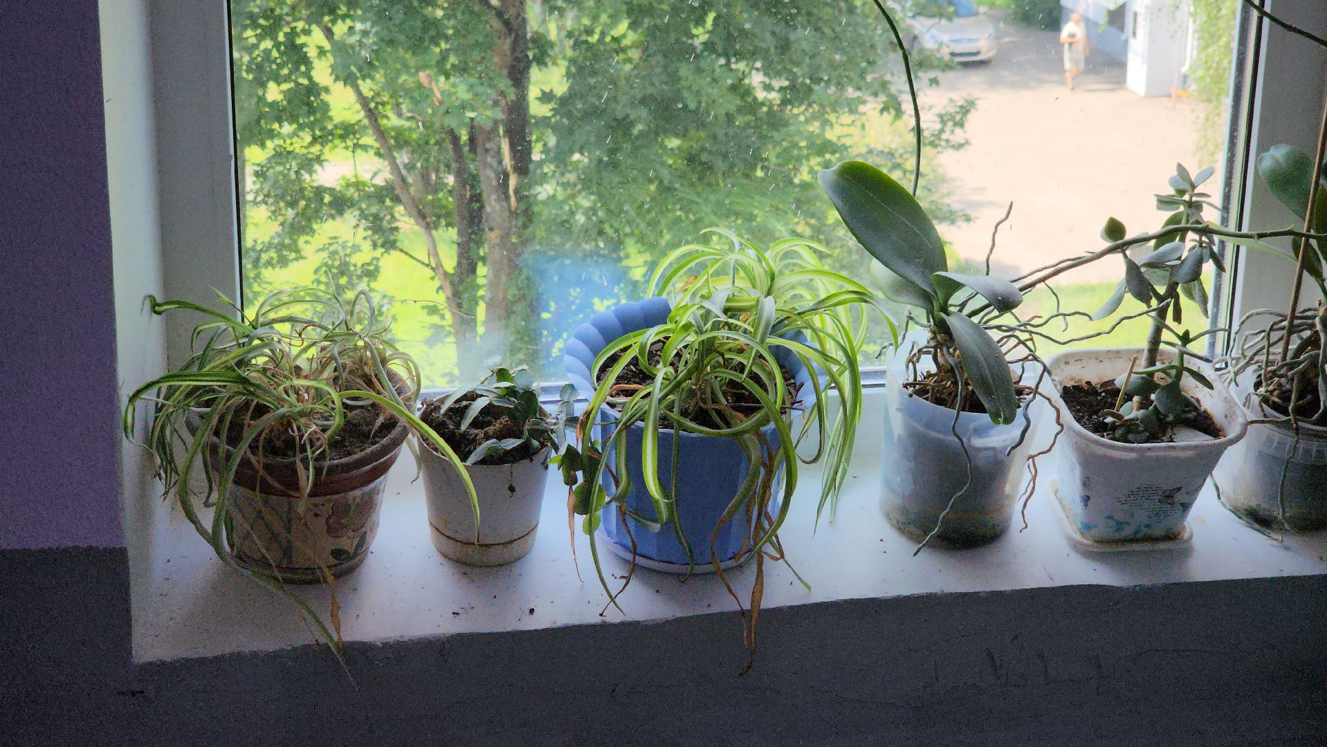 щёлково, ремонт подъезда, Литвиново ,