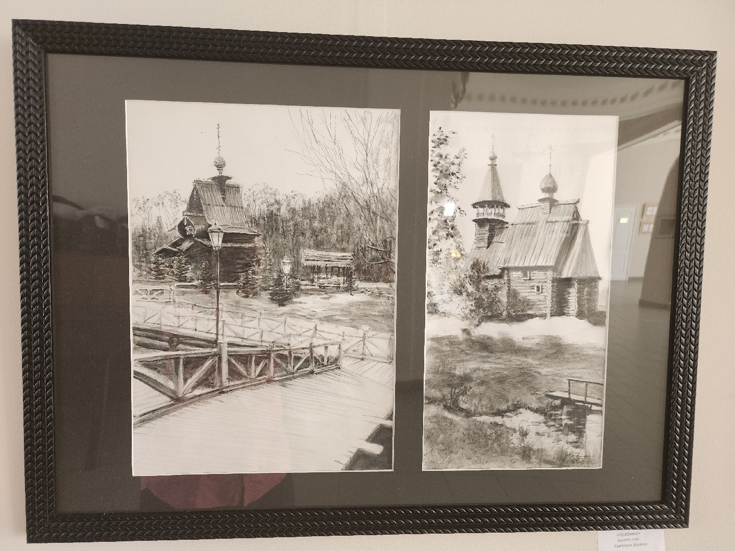 фрязино, художественная выставка, художник, живопись, открытие выставки,