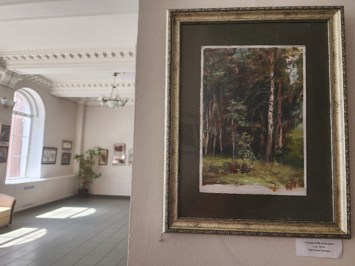 фрязино, художественная выставка, художник, живопись, открытие выставки,