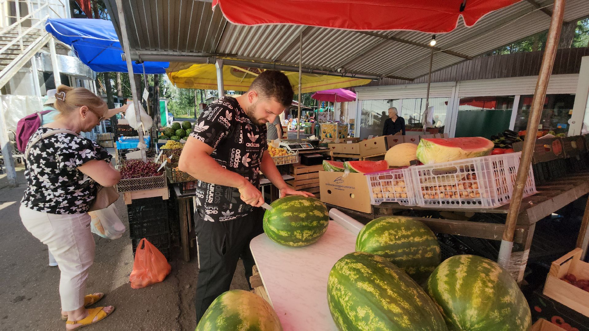 сезон арбузов, протвино, городской рынок,