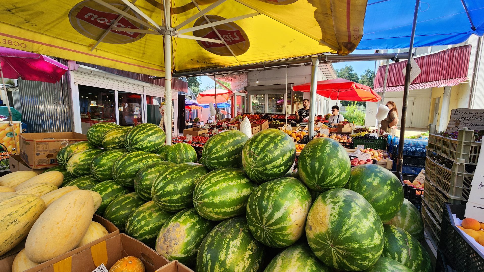 сезон арбузов, протвино, городской рынок,