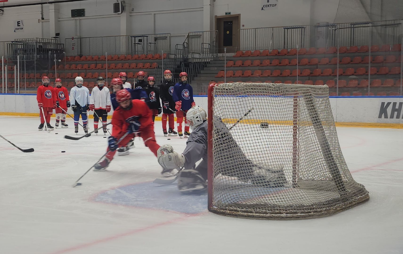 красногорск, хоккей, кубок овечкина, арена имени петрова,