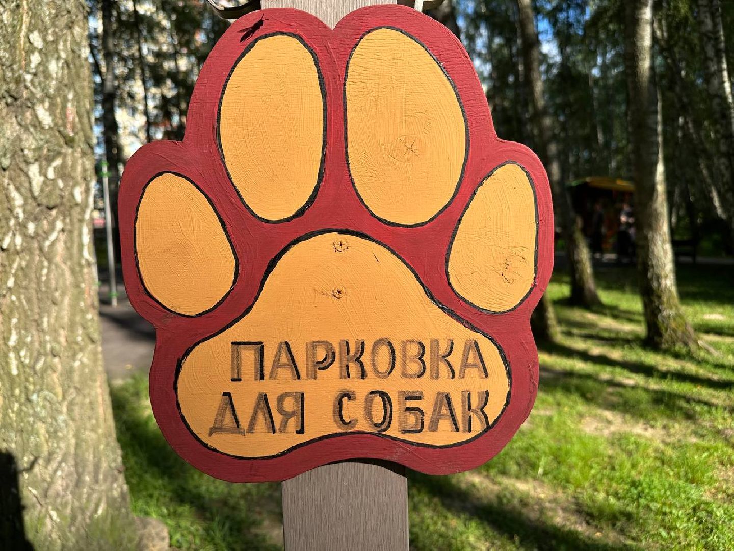 парки, домашние животные, домодедово,