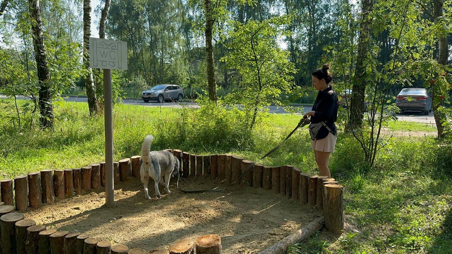 парки, домашние животные, домодедово,