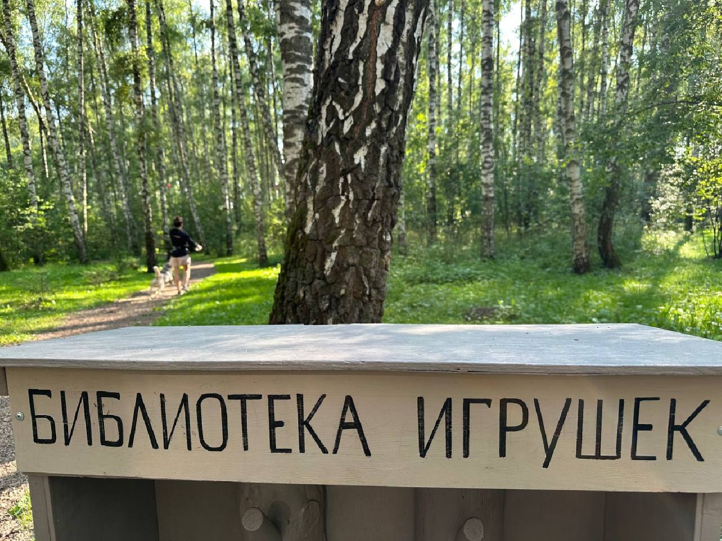 парки, домашние животные, домодедово,